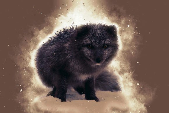 Elevate Your Projects with Printable Animal Graphics #13
